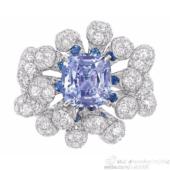 一枚来自 Dior 今年新推出的「Cygne」珠宝系列的尖晶戒指_尖晶石迪奥戒指