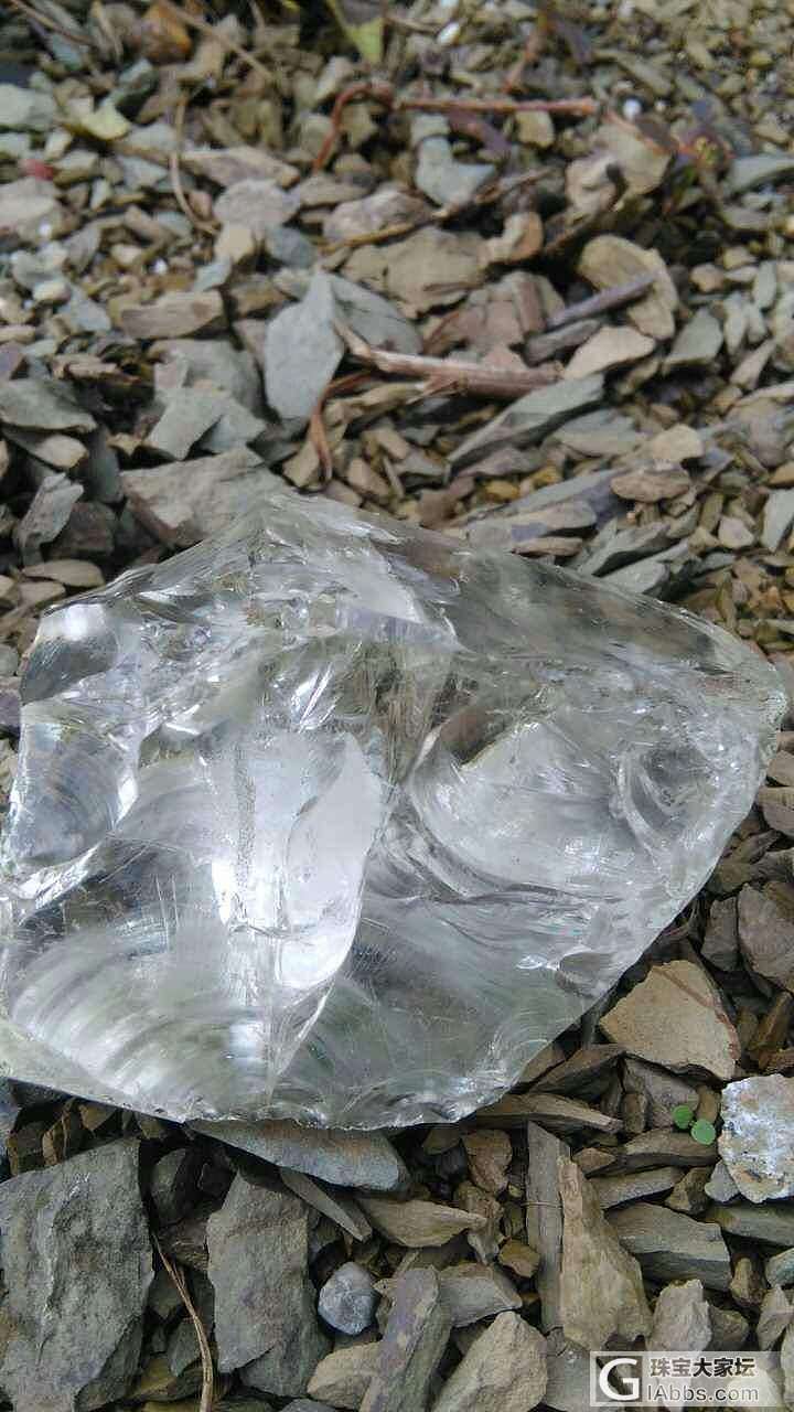 这是什么石里面有一片叶子_水晶原石