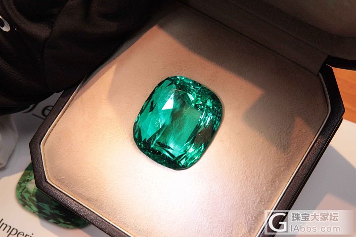 Margo Raffaelli 顶级藏品 206.09cts 祖母绿_祖母绿