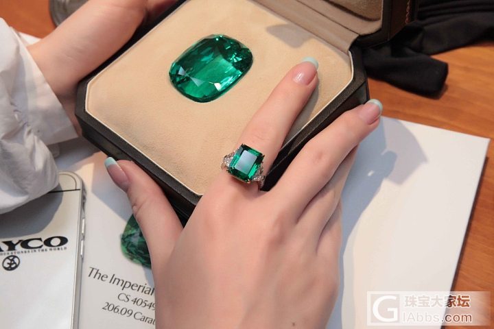 Margo Raffaelli 顶级藏品 206.09cts 祖母绿_祖母绿