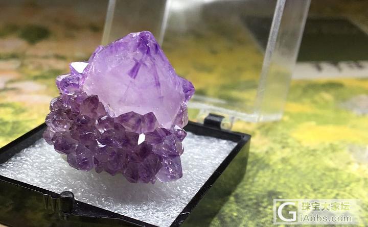 南非仙人掌紫水晶，风水摆件，消磁抗辐射_摆件紫水晶水晶