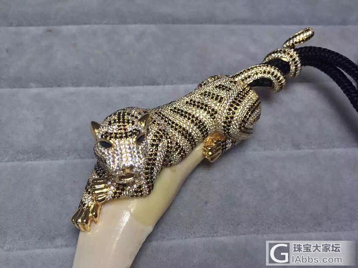 牙包钻_牙骨角