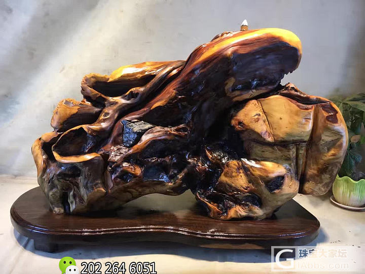 雕刻新作《牧归》天苍苍,野茫茫,风吹草低见牛羊_摆件崖柏