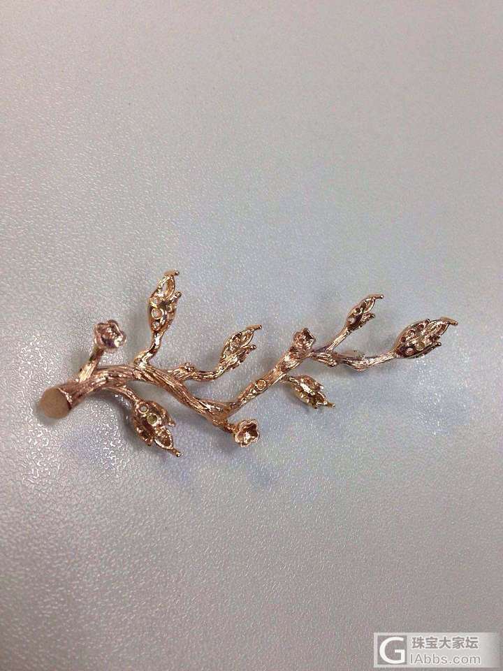 不管男女，我们最该拥有的珠宝我想我该发个声…_首饰设计