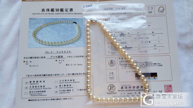 日本真珠科学研究所认定的最高级8.0-9.0 Akoya香槟金珍珠✨_珍珠