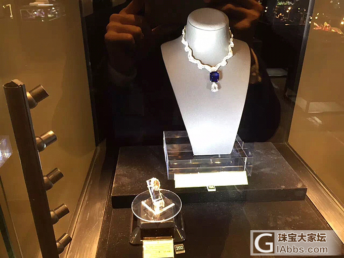天成国际拍卖 近距离_名贵宝石拍卖会