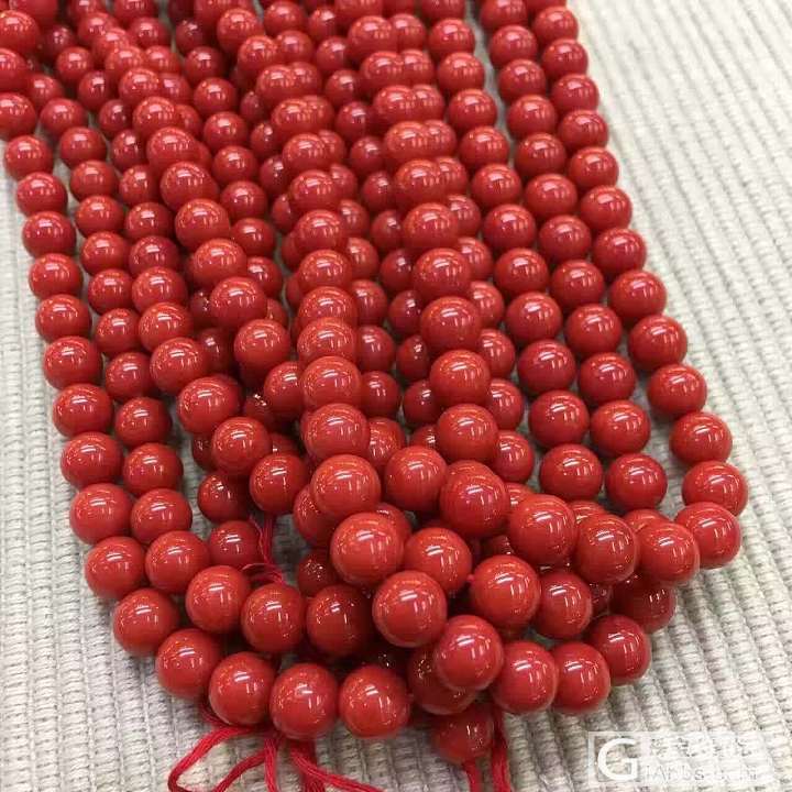 意大利沙丁珊瑚  7.4-8.2mm珠子_珊瑚珠串