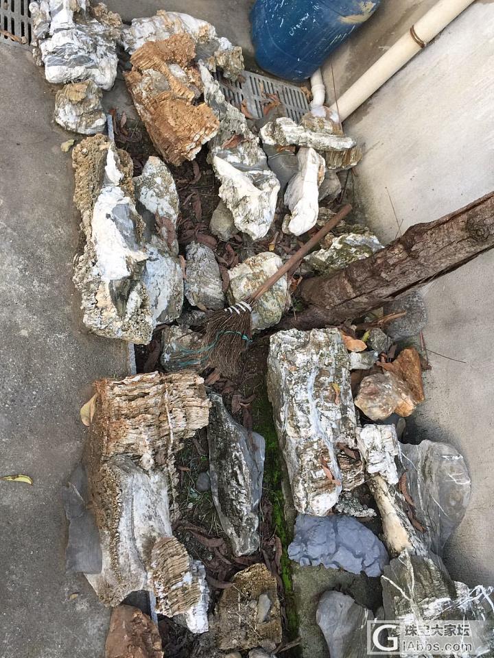 这些年买的石头。_观赏石
