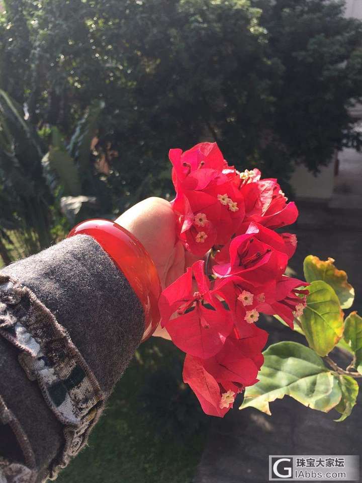 红_手镯玉髓