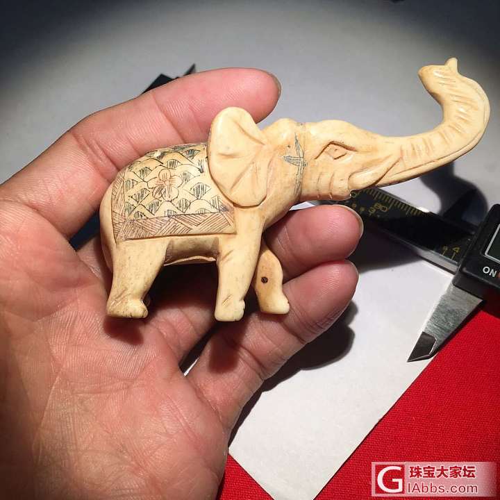 创汇时期骨头小摆件，大象一枚！_摆件牙骨角