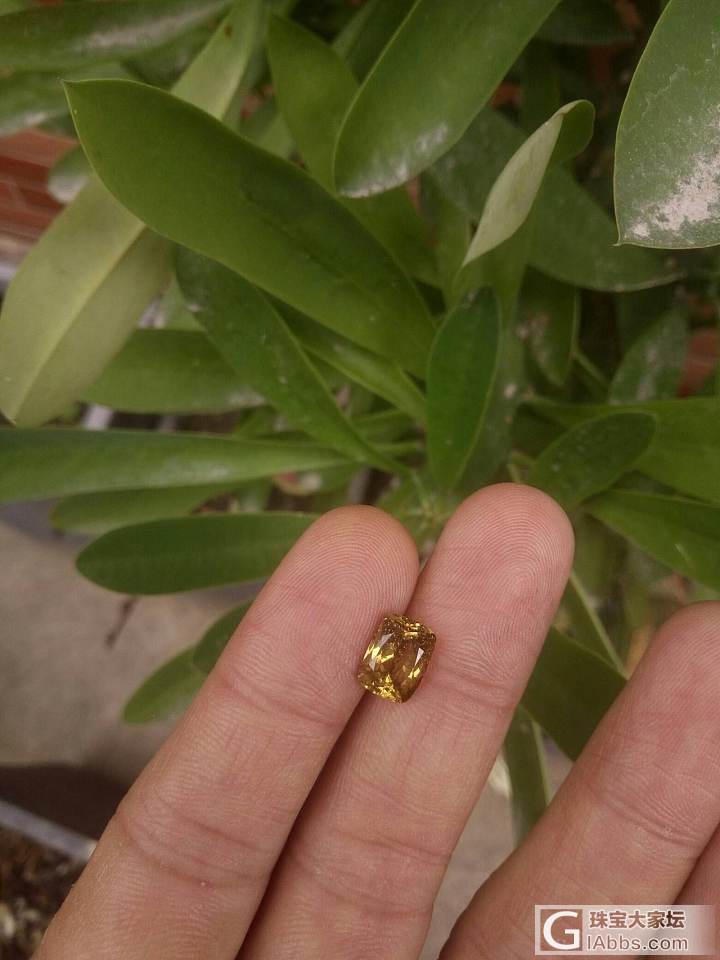 金绿宝_金绿宝石