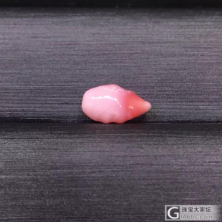 孔克珠_海螺珠
