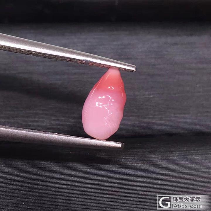 孔克珠_海螺珠