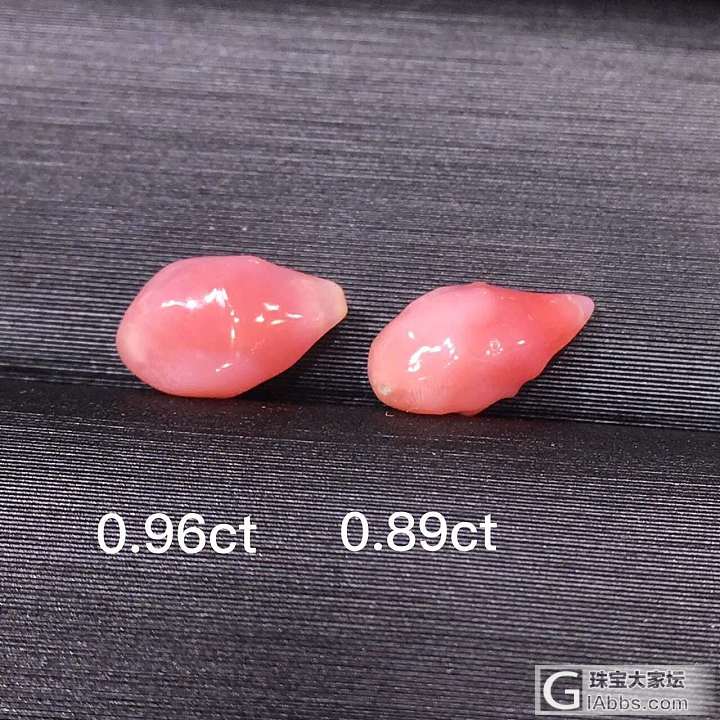 孔克珠_海螺珠