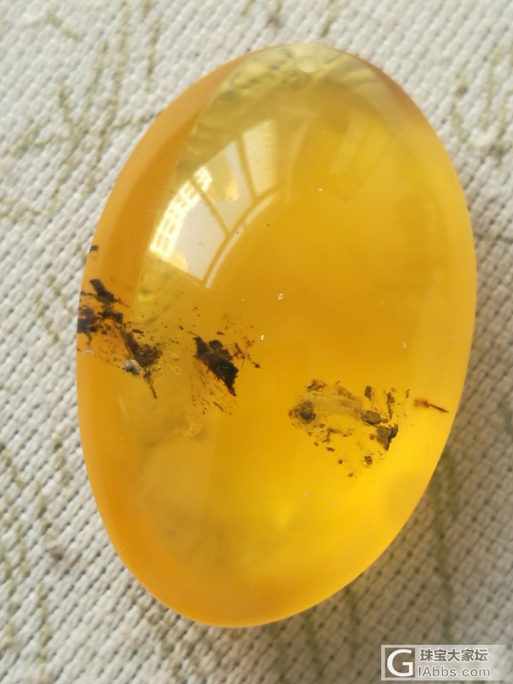 虫帕_虫珀