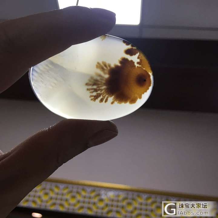 大家看看想什么_玉髓