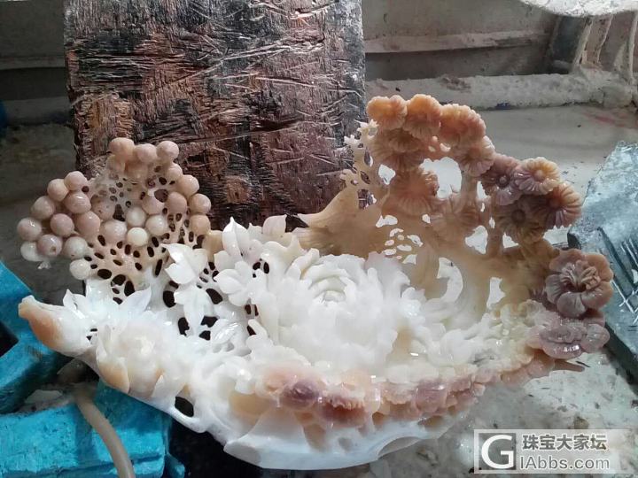 砗磲_摆件砗磲