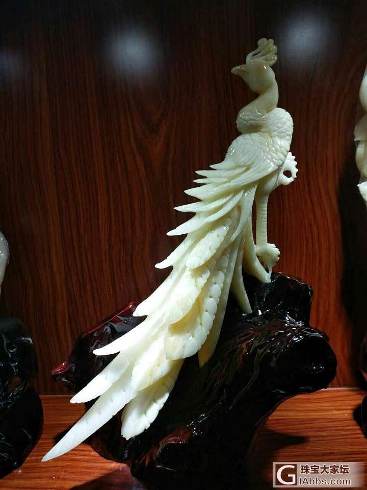 砗磲_摆件砗磲