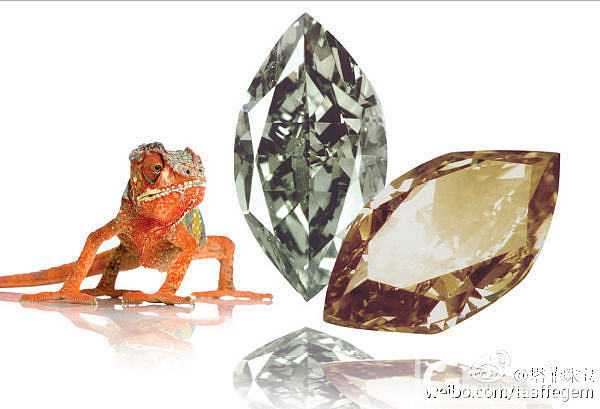 【Chameleon Diamond 】：变色龙钻石_彩钻
