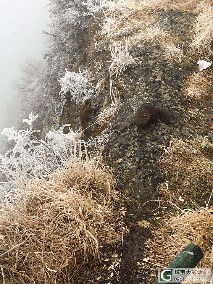 我的双十二_旅游