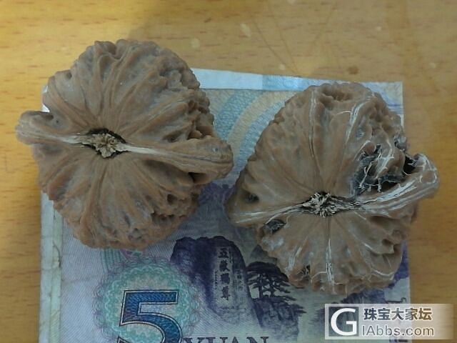 白狮子头_把玩件核桃