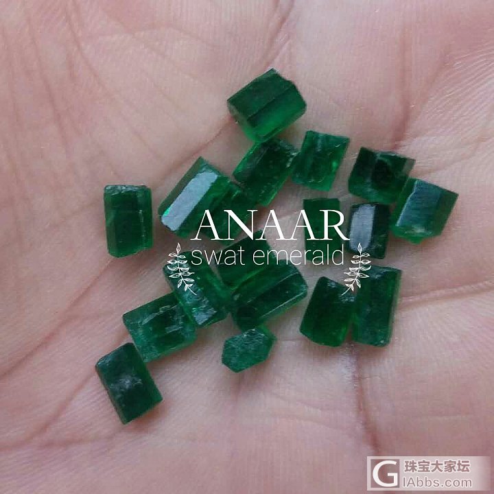 SWAT Emerald_祖母绿