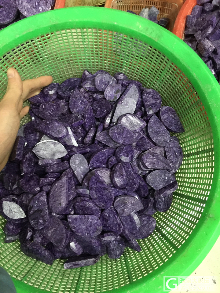 紫龙晶大量是这样的_紫龙晶