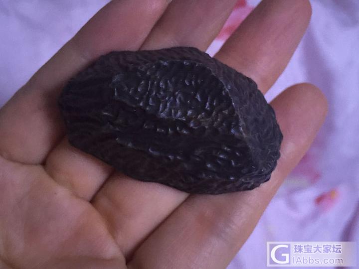 天书纹泥石_观赏石