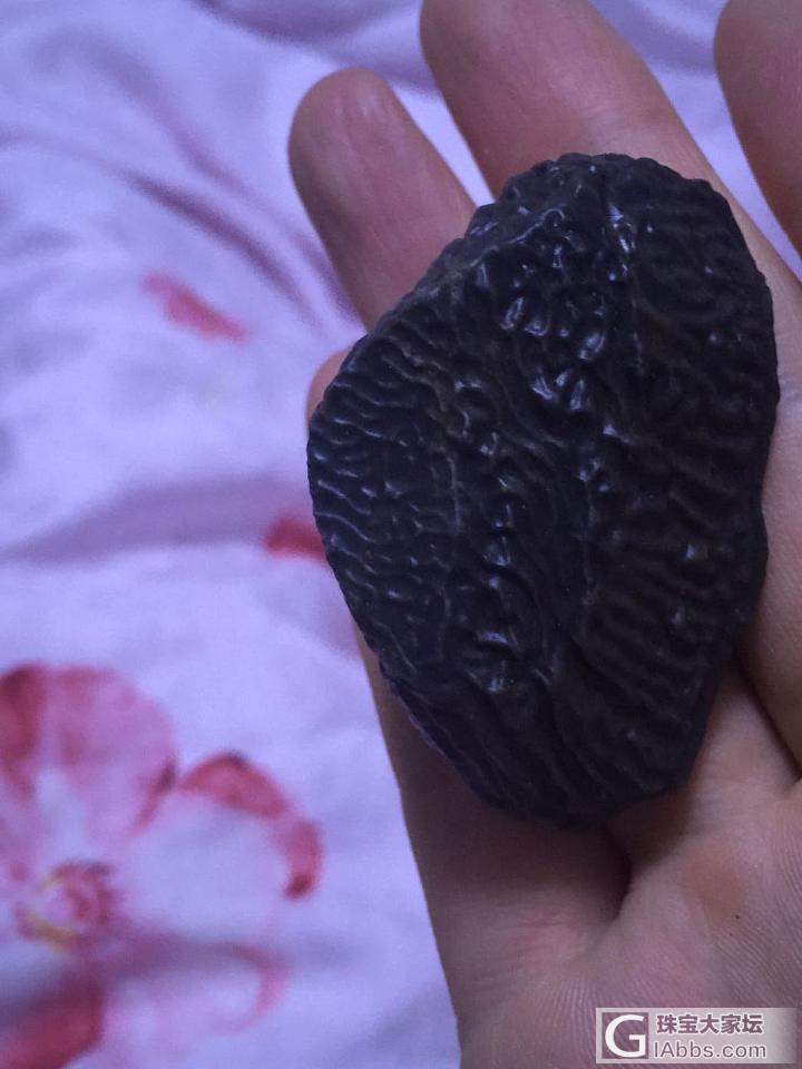 天书纹泥石_观赏石