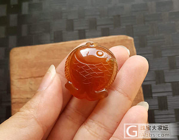 小鲤鱼儿_玉髓