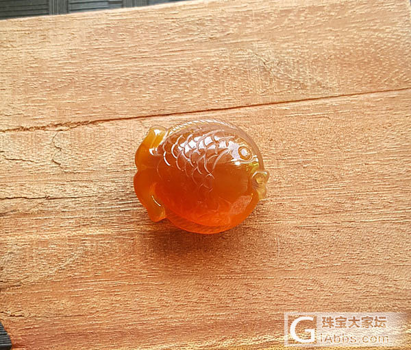 小鲤鱼儿_玉髓