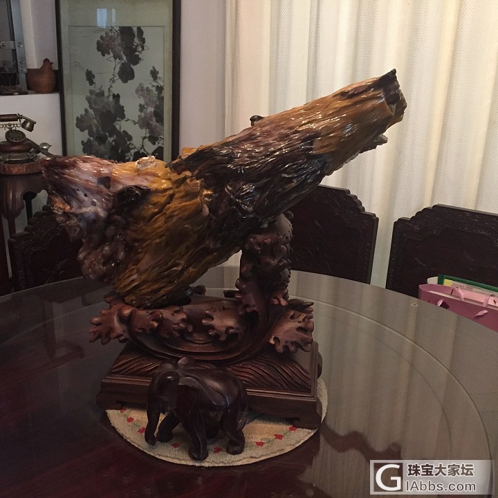 鸡年吉祥物来了_硅化木