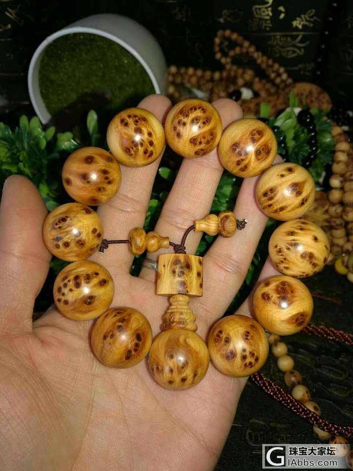 崖柏，看的出是什么料？_珠串崖柏