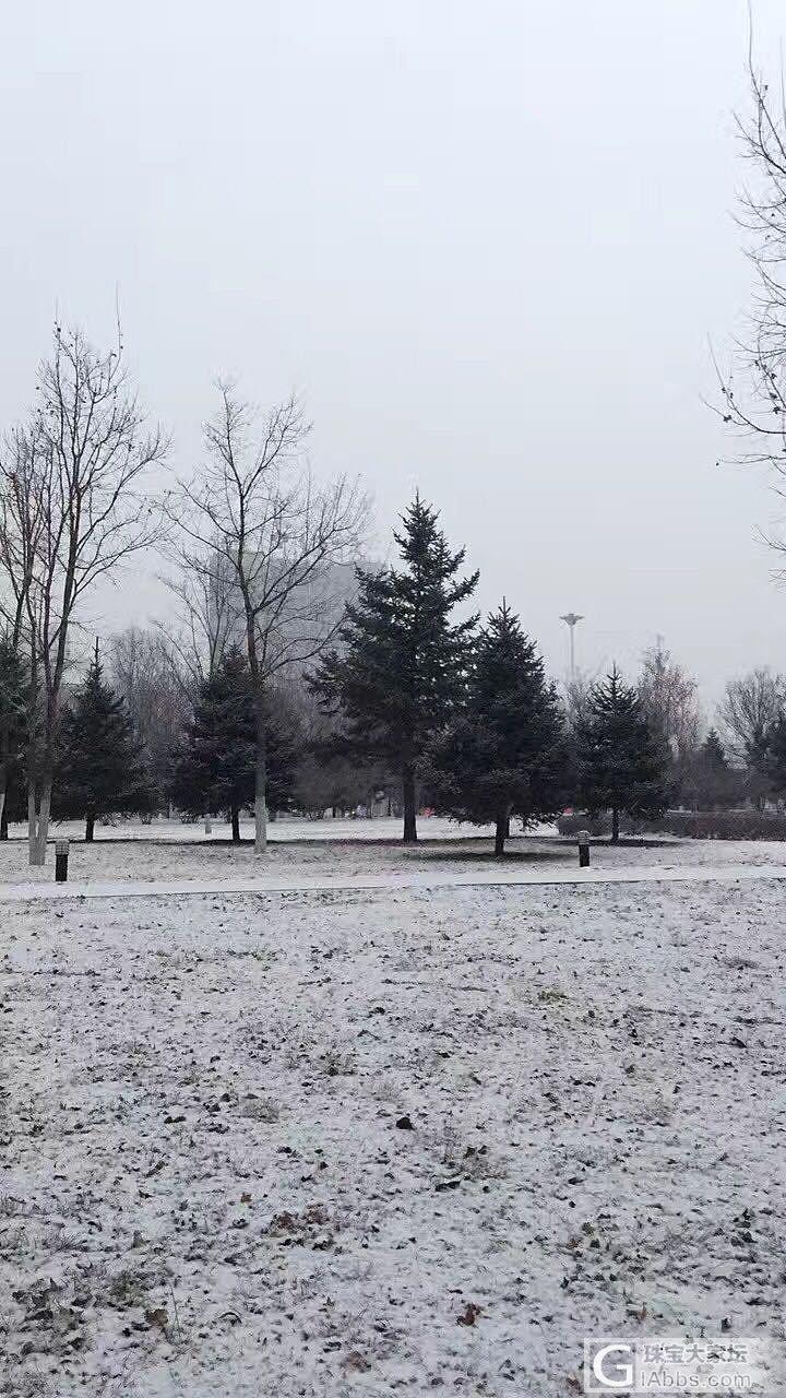 下雪了出去逛一圈_闲聊