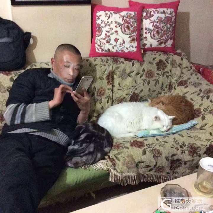 吃了鱼也在梦着鱼吗？_猫