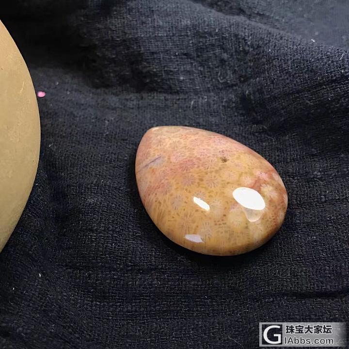 珊瑚玉_珊瑚玉