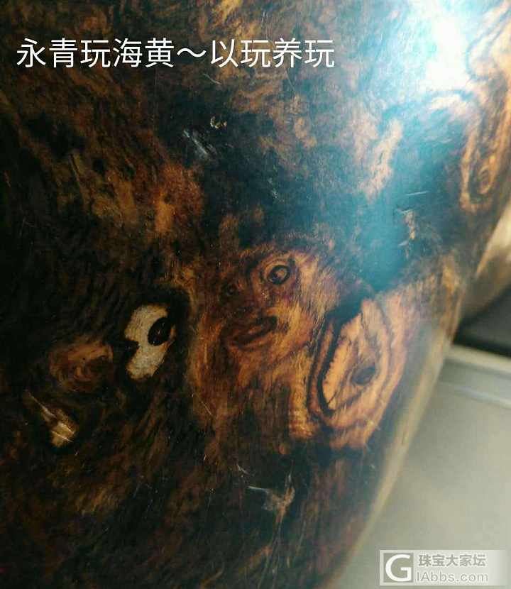 海黄就是这么神奇，海南黄花梨同行开出“猫头鹰”赏析！_海南黄花梨