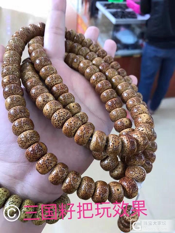 来，这就是海南籽和三国籽的区别_菩提子