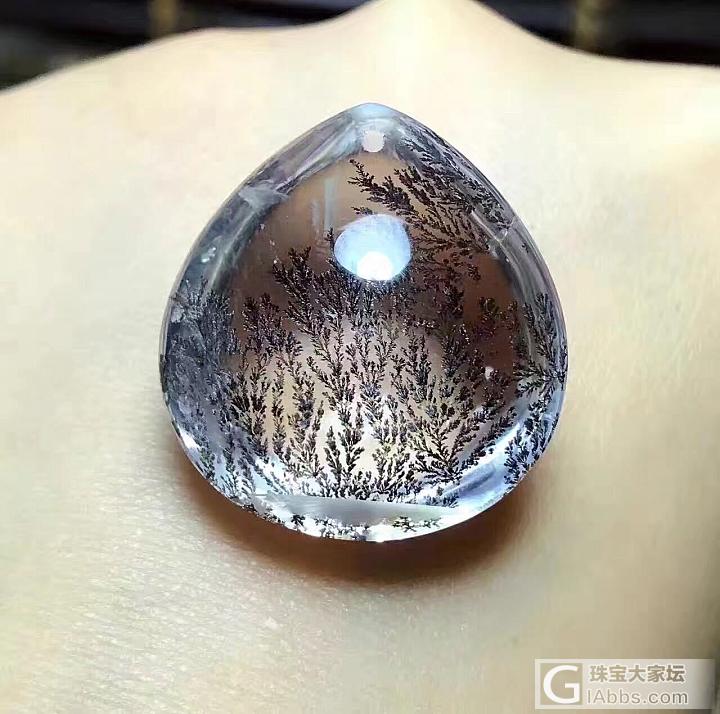 晒晒天然水晶与小树共生矿_幽灵晶