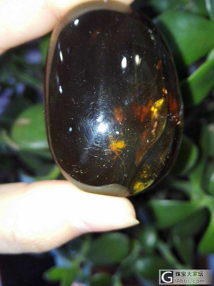 缅甸纯天然琥珀_虫珀