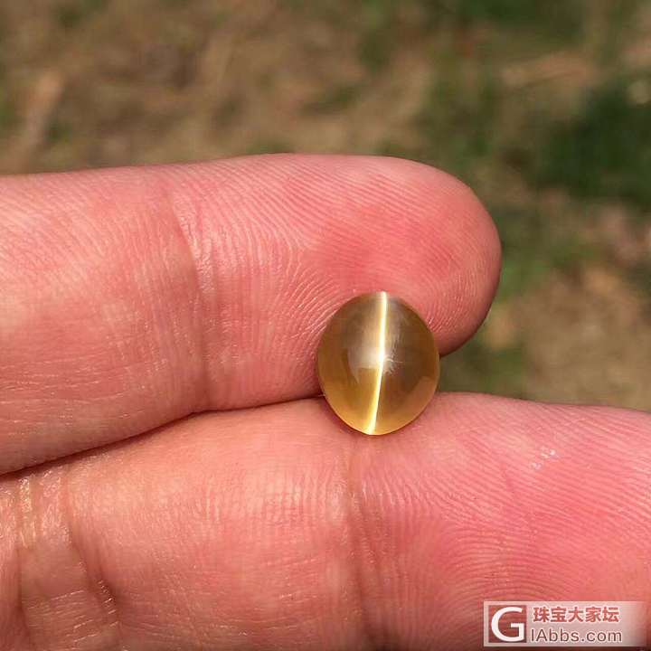 我也上个蜜猫5克拉多，好喜欢_金绿宝石