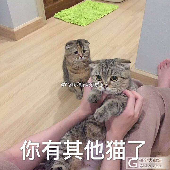莫名的感觉珠宝生意越来越难做了_水晶