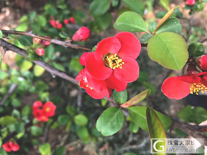 风乍起，吹皱一池春水_旅游