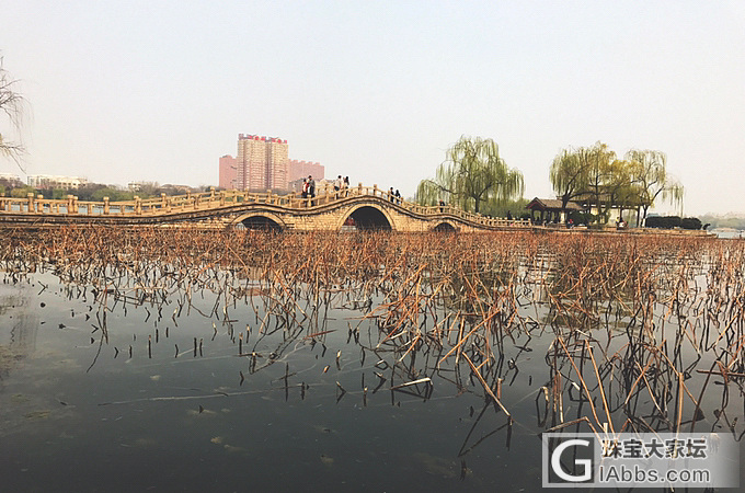 风乍起，吹皱一池春水_旅游