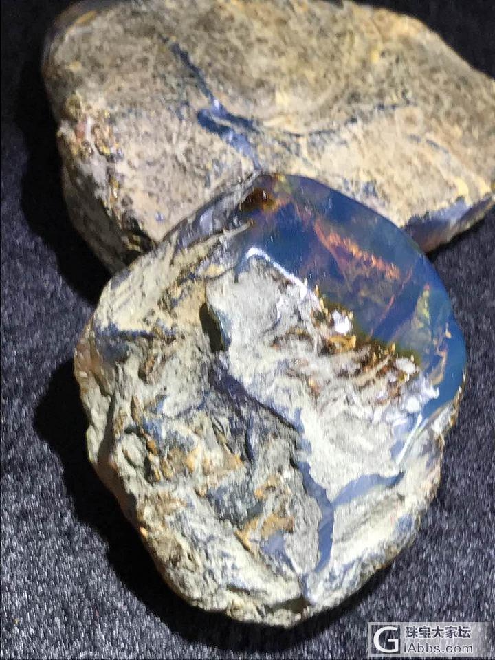 多米尼加_原石琥珀