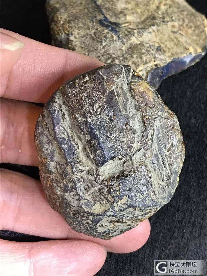 多米尼加_原石琥珀