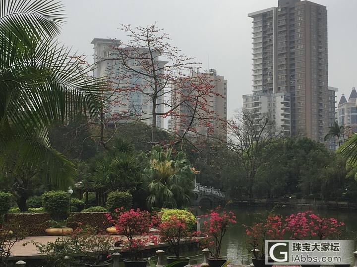 努力_挂件手镯翡翠摄影