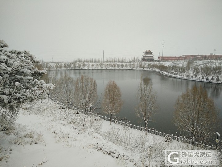 好雪知时节，当春乃发生_贴图闲聊