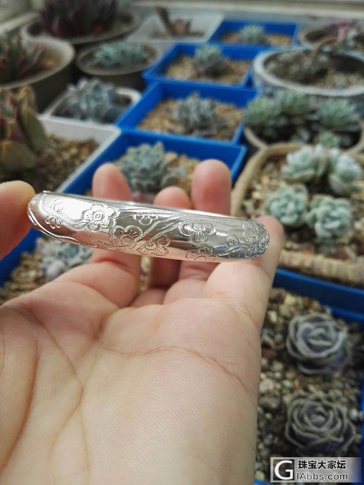 开仓出镯子：南瓜头，麻花，许家忆青莲，白银传老梅和豪朴莲华_银
