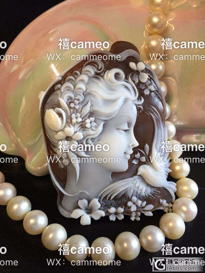 意大利高端精品cameo贝雕，美人侧颜！大师精品作_贝壳雕刻